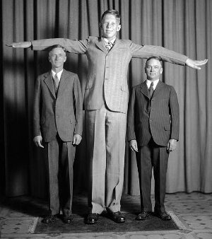 Illustration for article titled In search of the world's tallest human